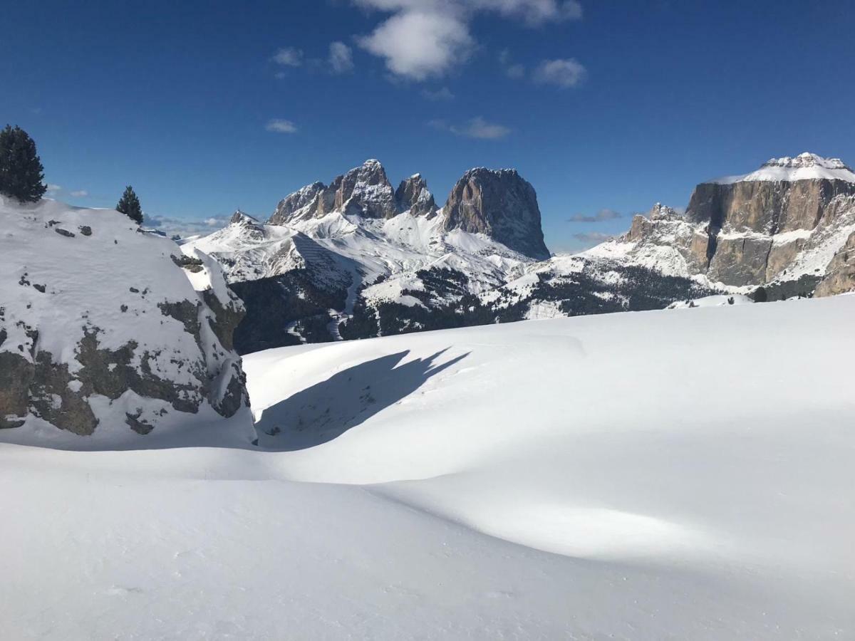 Arya Alpine Lodge セルヴァ・ディ・ヴァル・ガルデーナ エクステリア 写真